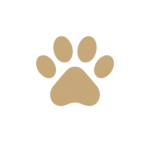 Strona Główna zwierzęta domowe dozwolone